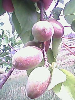2012.4.21ϵ.jpg