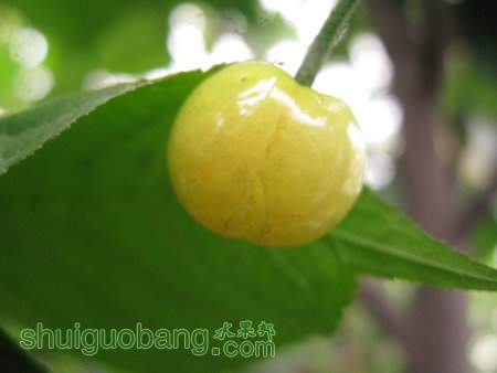IMG_7315.JPG