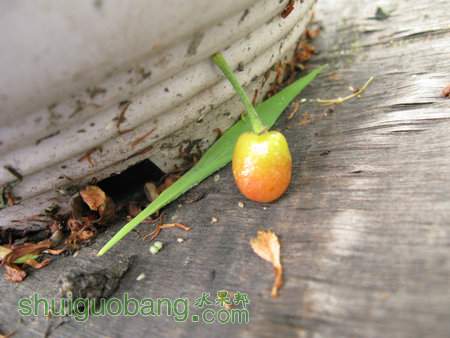 IMG_7316.JPG
