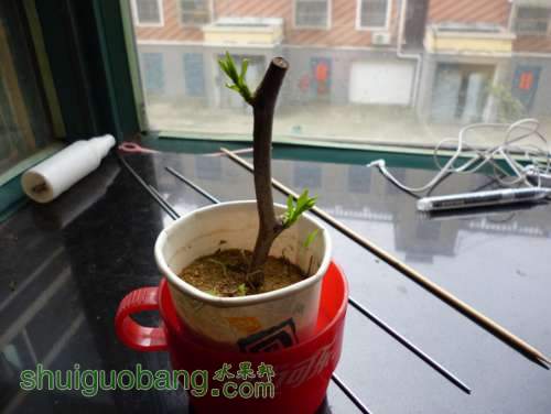 P1010337_.jpg