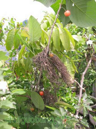 IMG_7372.JPG