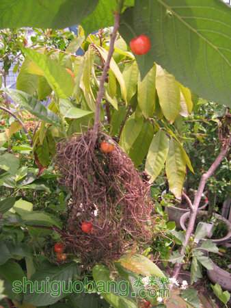 IMG_7382.JPG