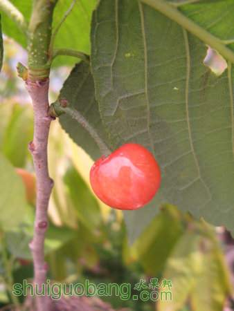 IMG_7373.JPG