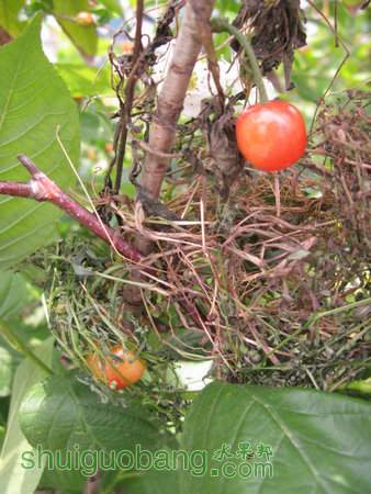 IMG_7377.JPG