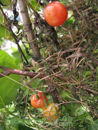 IMG_7383.JPG