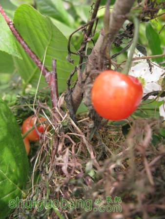 IMG_7380.JPG