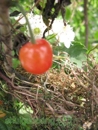 IMG_7375.JPG