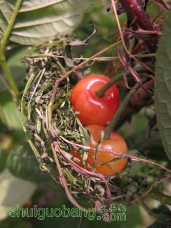 IMG_7379.JPG