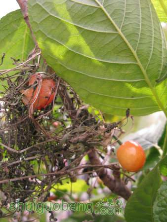IMG_7386.JPG