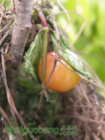 IMG_7374.JPG