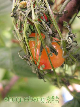 IMG_7376.JPG