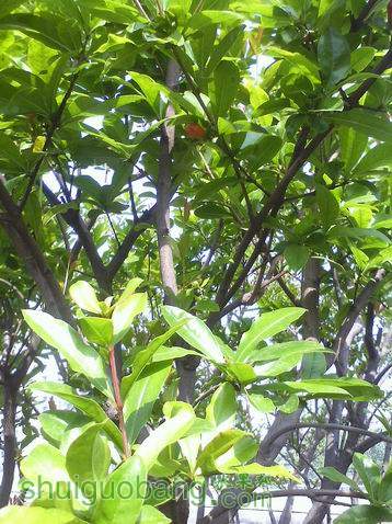С IMG0422092600.jpg