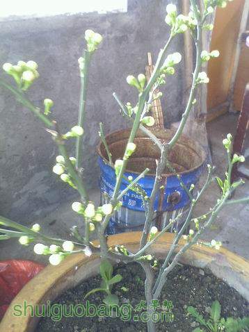 С IMG0422094000.jpg