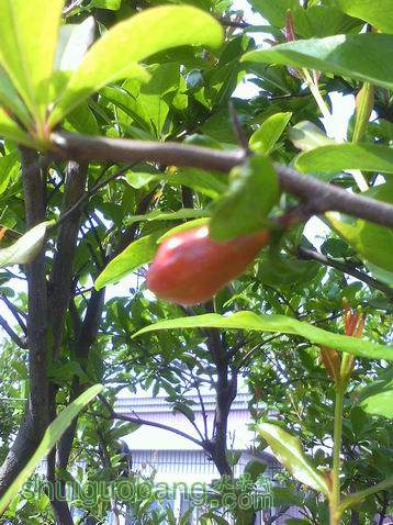 С IMG0422092601.jpg