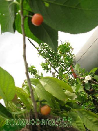 IMG_7422_.JPG
