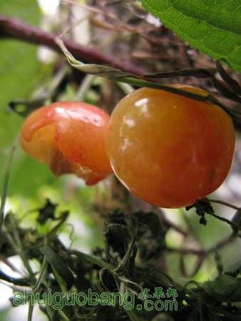 IMG_7426.JPG