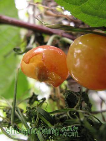 IMG_7428.JPG