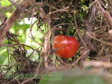 IMG_7443.JPG