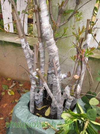 IMG_6992.JPG