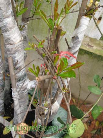 IMG_6990.JPG