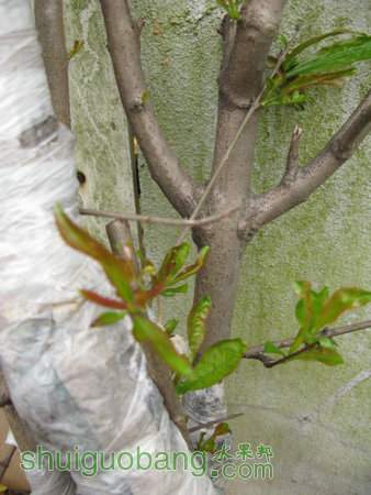 IMG_6985.JPG