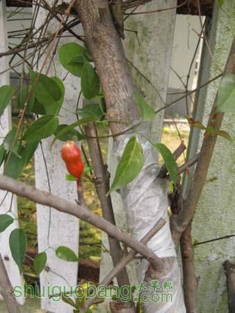 IMG_6979.JPG