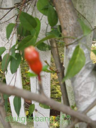IMG_6986.JPG