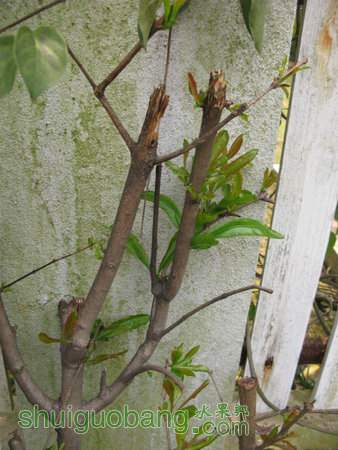 IMG_6980.JPG