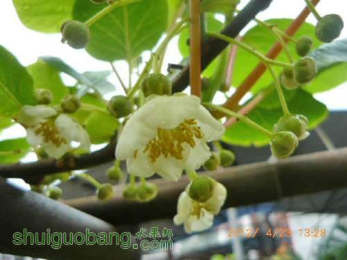 ⨺����ۻ� (4).JPG