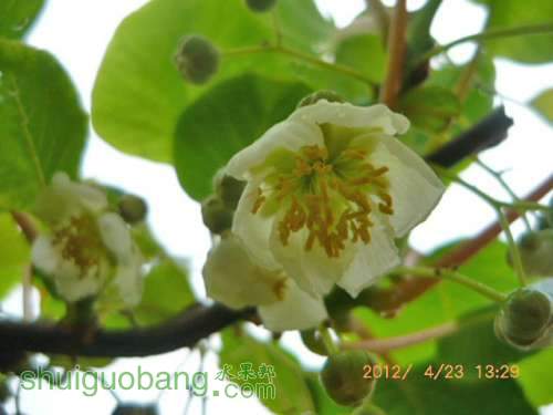 ⨺����ۻ� (6).JPG