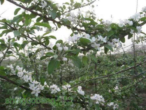ƻڼ¼ 015.jpg