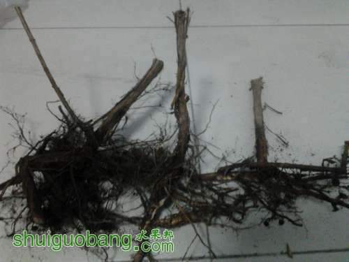 2008239y8ym8c9m6jd892y.jpg