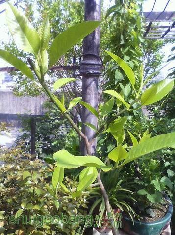 С IMG0422092300.jpg