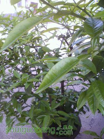 С IMG0422092400.jpg