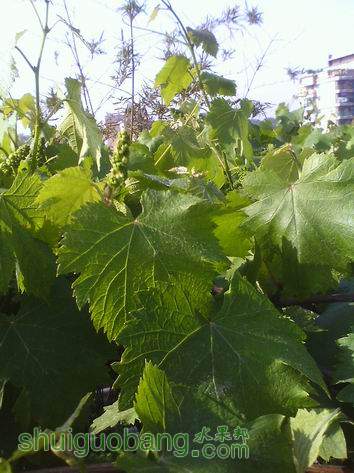 С IMG0422161400.jpg