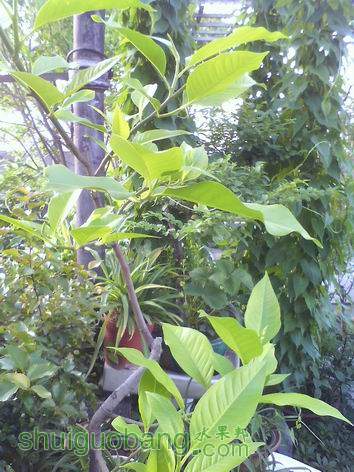 С IMG0427180900.jpg