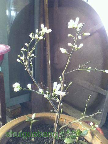 С IMG0427181000.jpg