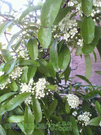 С IMG0427181101.jpg
