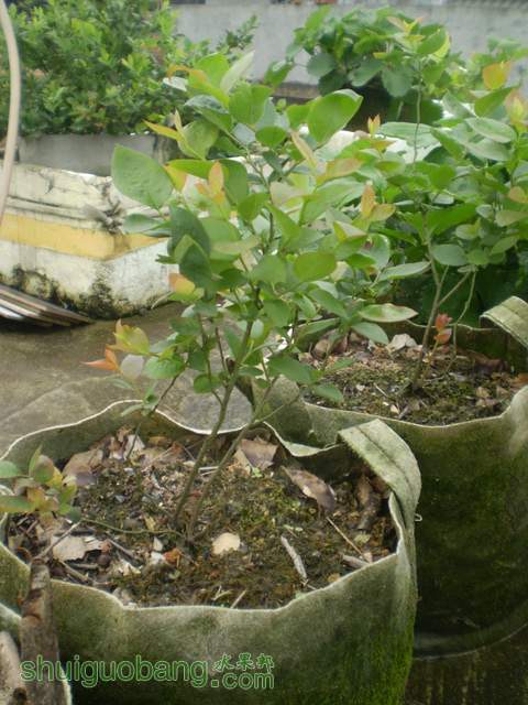 P1010015.jpg