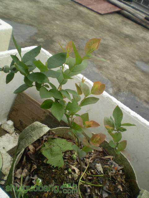 P1010027.jpg