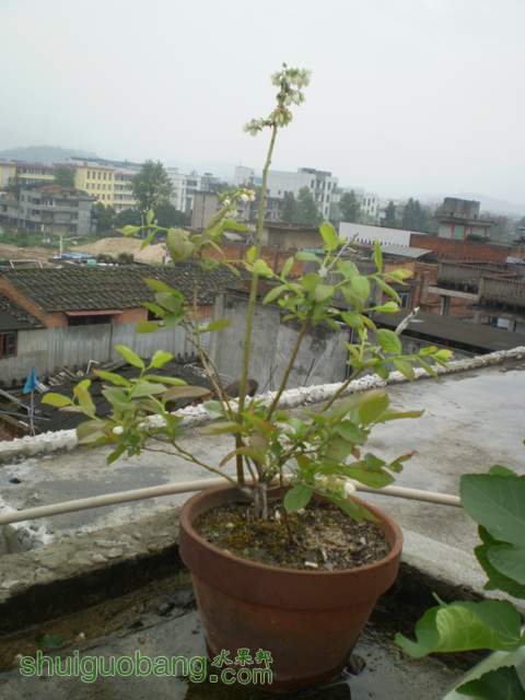 P1010016.jpg