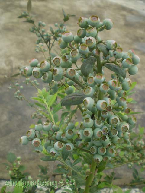 P1010024.jpg