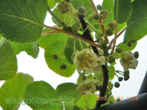 ⨺����ۻ� (5).JPG