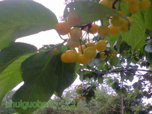 2012-04-29 14.20.14.jpg