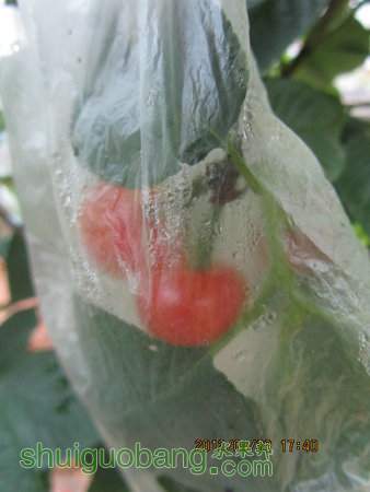 IMG_8738.JPG