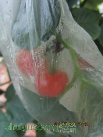 IMG_8739.JPG