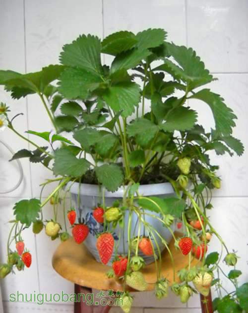 DSCN02231.jpg