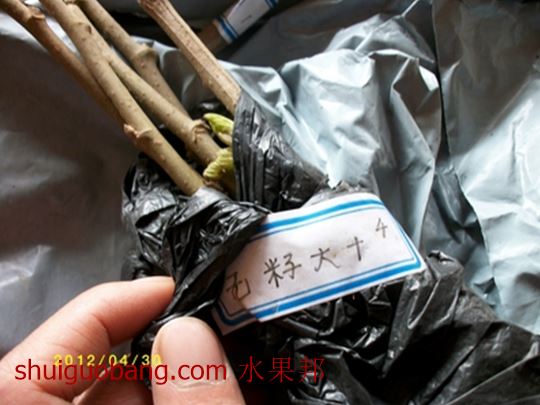 nEO_IMG_ALIM1874.jpg