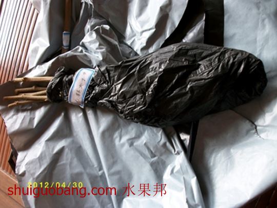 nEO_IMG_ALIM1873.jpg