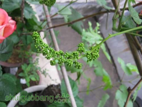 IMG_3985.JPG